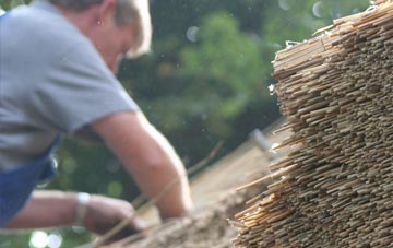 professional Rushbrooke thatchers